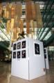 /album/face-to-face/phoca-thumb-l-lolla-063-jpg/